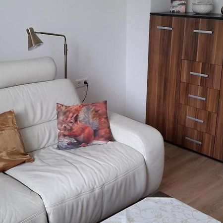 Ferienwohnung Christel Hirschhorn-Neckar Екстериор снимка