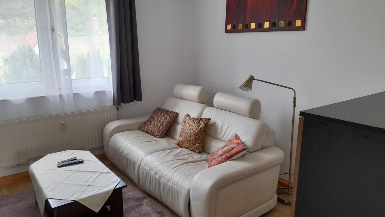 Ferienwohnung Christel Hirschhorn-Neckar Екстериор снимка
