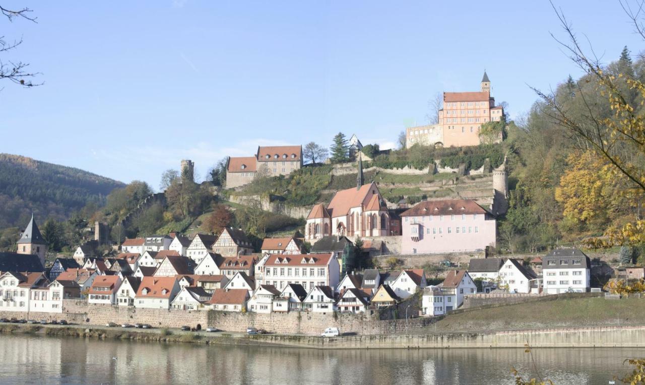 Ferienwohnung Christel Hirschhorn-Neckar Екстериор снимка