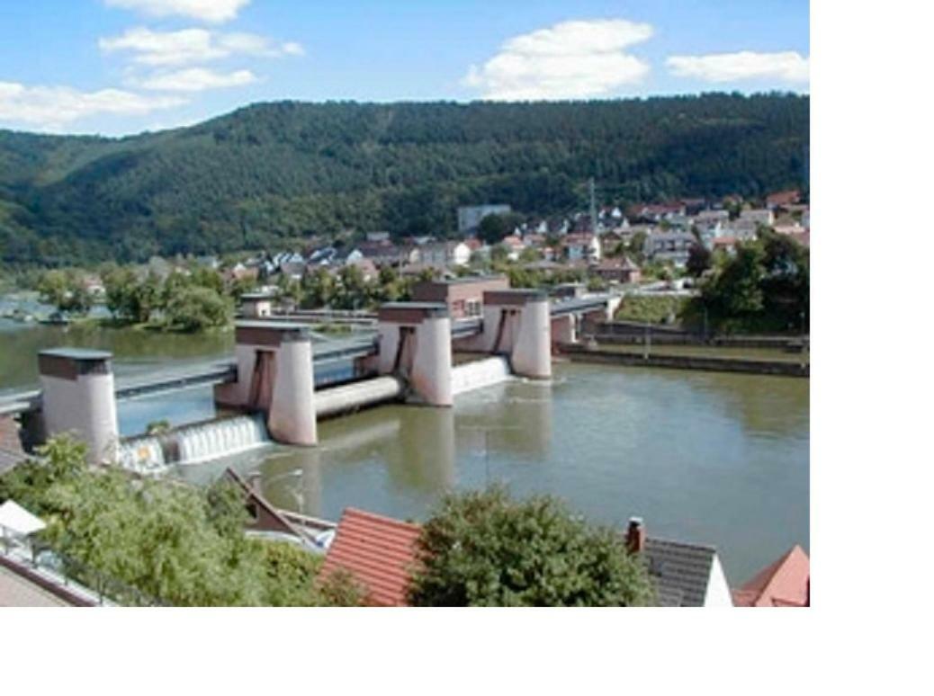 Ferienwohnung Christel Hirschhorn-Neckar Екстериор снимка