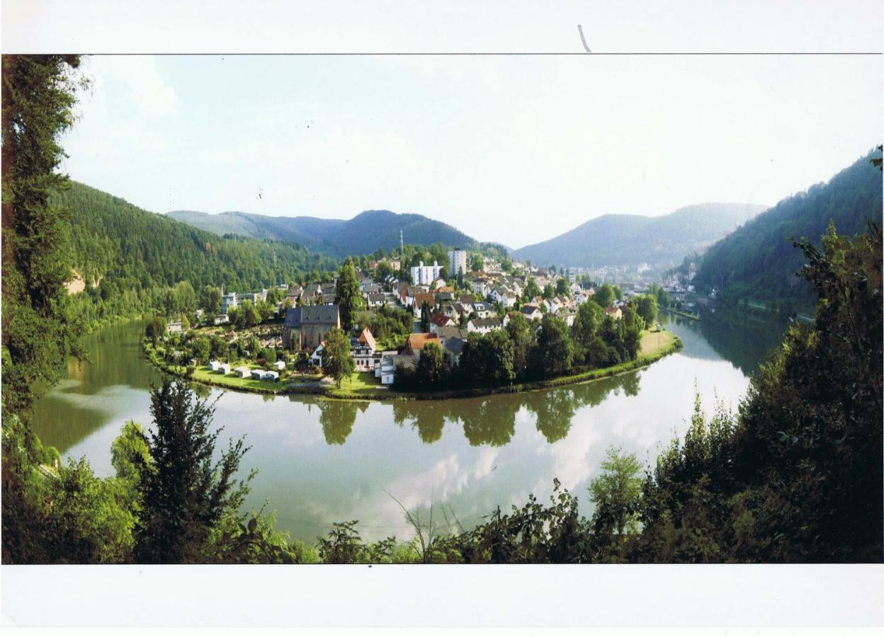 Ferienwohnung Christel Hirschhorn-Neckar Екстериор снимка